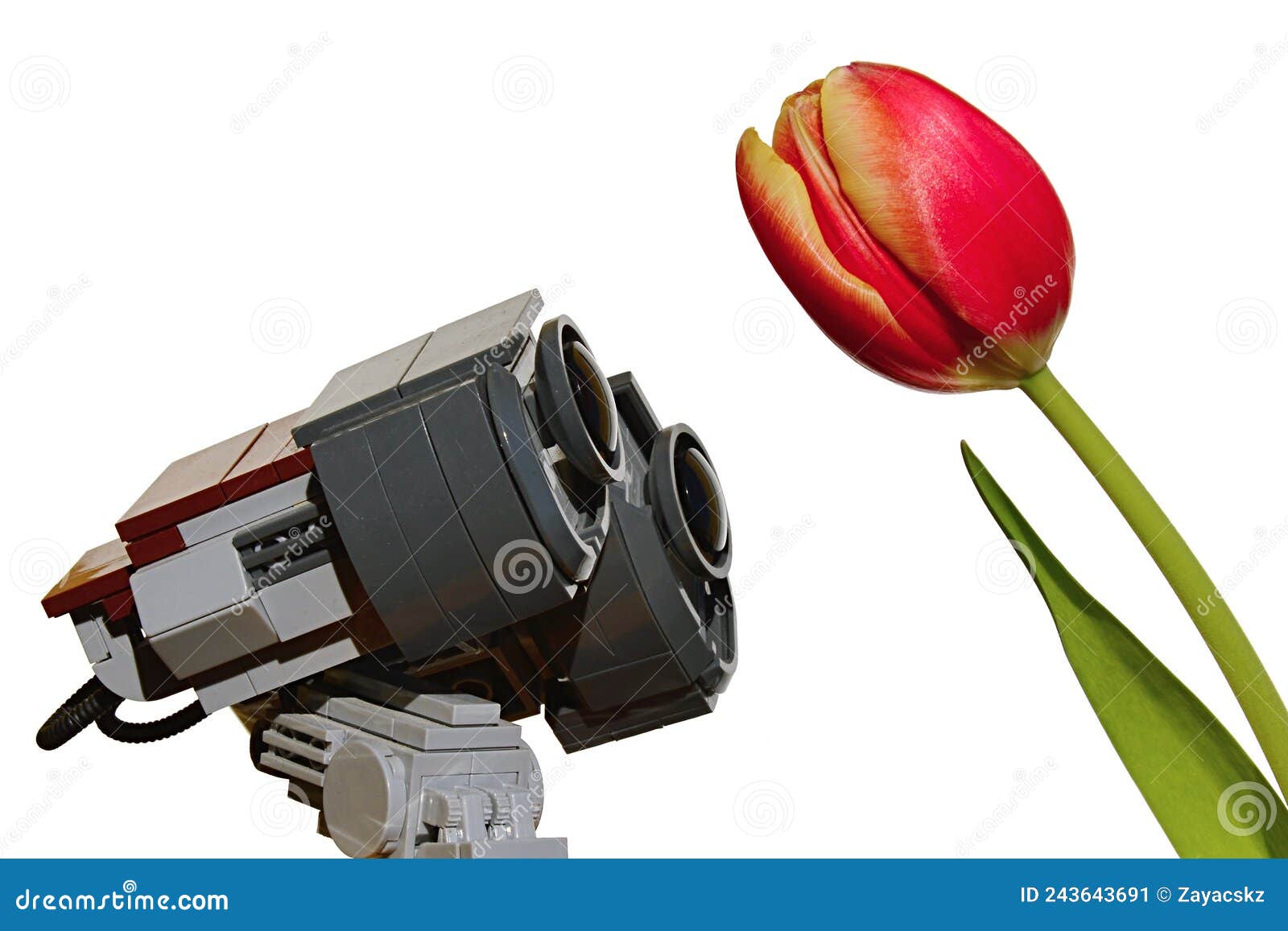 LEGO Wall-E Robot Model from Disney Pixar Movie is Adoring Beautiful Spring  Yellow To Orange Tulip Flower, Editorial Photo - Image of intelligence,  plastic: 243643691