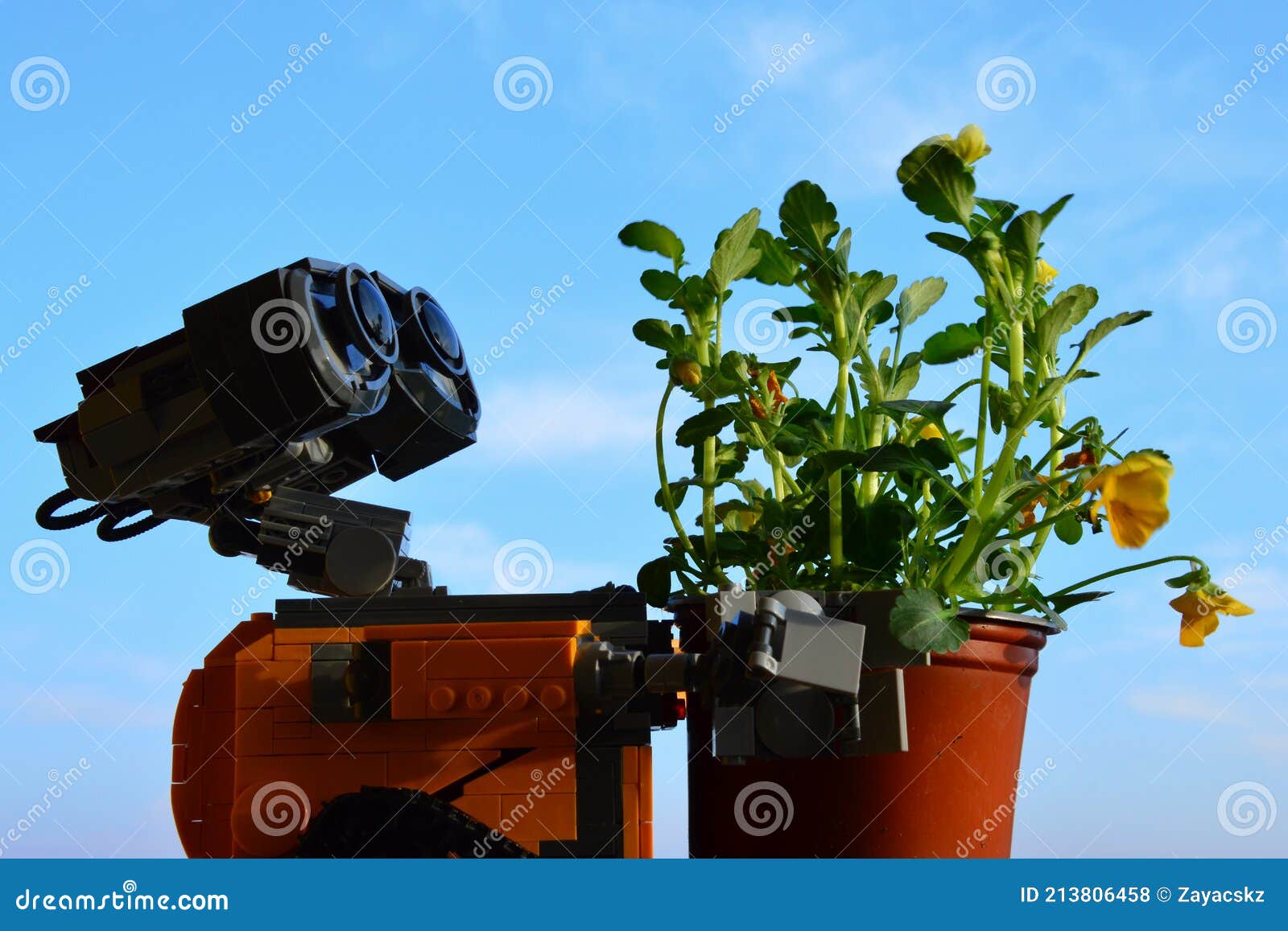 LEGO Wall-E Robot from Pixar Animated Movie Adoring Yellow Flowering Pansy  Plant, Latin Name Viola, Blue Spring Skies Editorial Stock Photo - Image of  skies, garden: 213806458