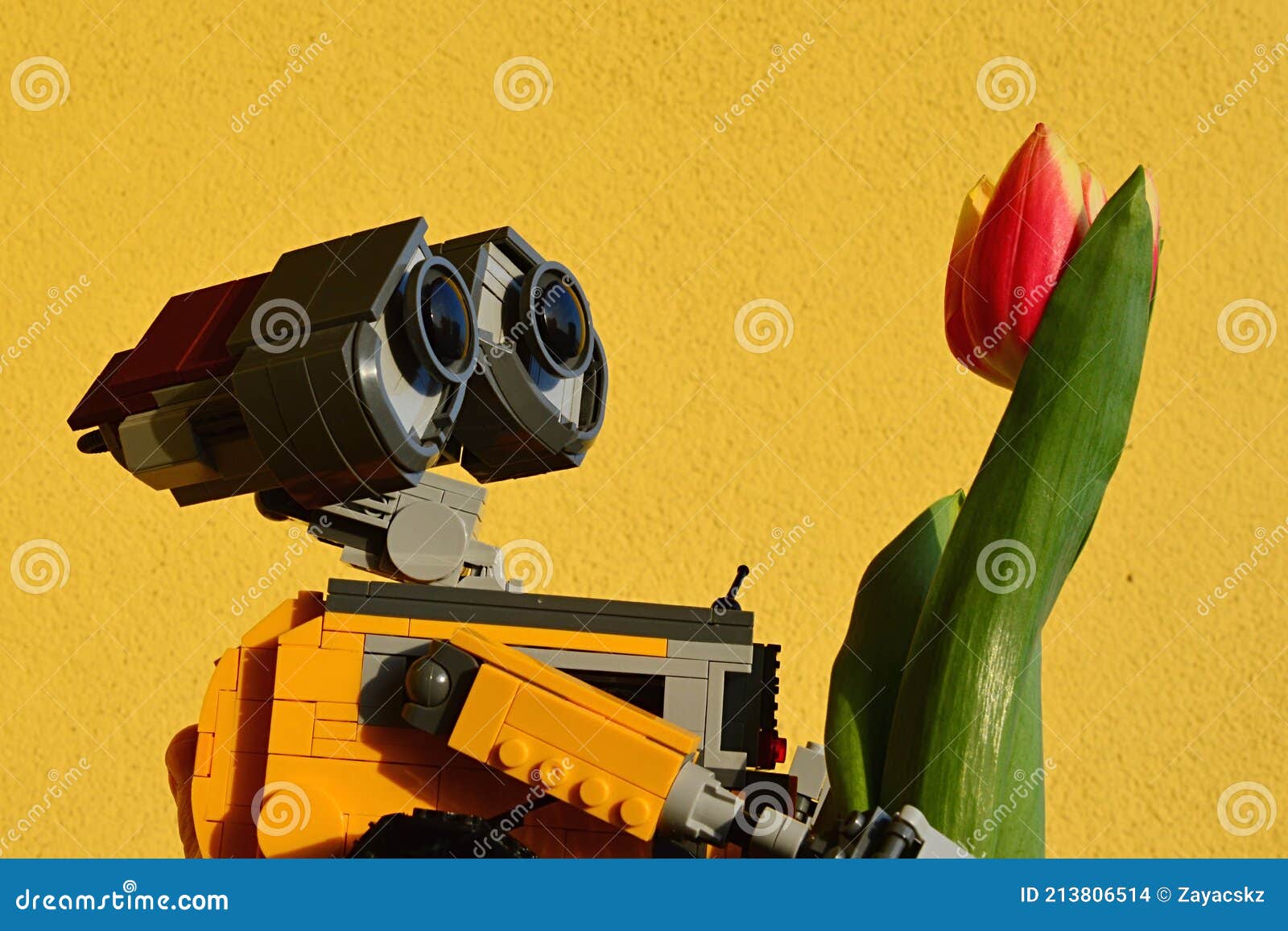 Lego Walle Robot Di Un Film Animato Di Pixar Che Esamina Il Vero Fiore Di  Tulipano Di Arancia Brillante Parete Gialla in Backgroun Immagine Stock  Editoriale - Immagine di verde, adorazione: 213806514