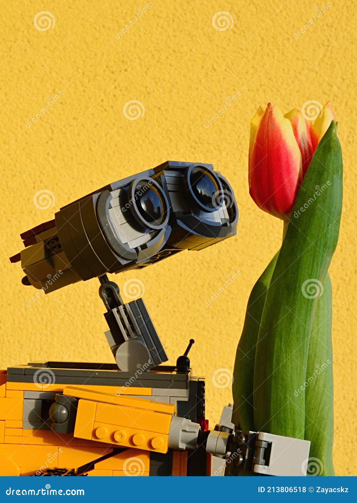 Lego Walle Robot Di Un Film Animato Di Pixar Che Esamina Il Vero Fiore Di  Tulipano Di Arancia Brillante Parete Gialla in Backgroun Fotografia Stock  Editoriale - Immagine di eroe, adorazione: 213806518