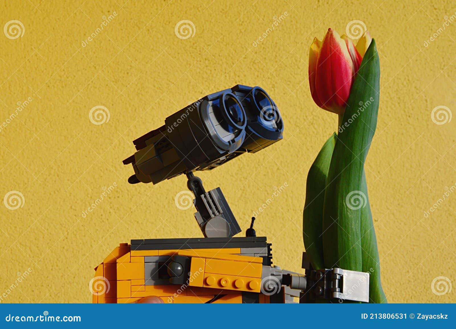 Lego Walle Robot Di Un Film Animato Di Pixar Che Esamina Il Vero Fiore Di  Tulipano Di Arancia Brillante Parete Gialla in Backgroun Fotografia  Editoriale - Immagine di sfondo, organico: 213806531