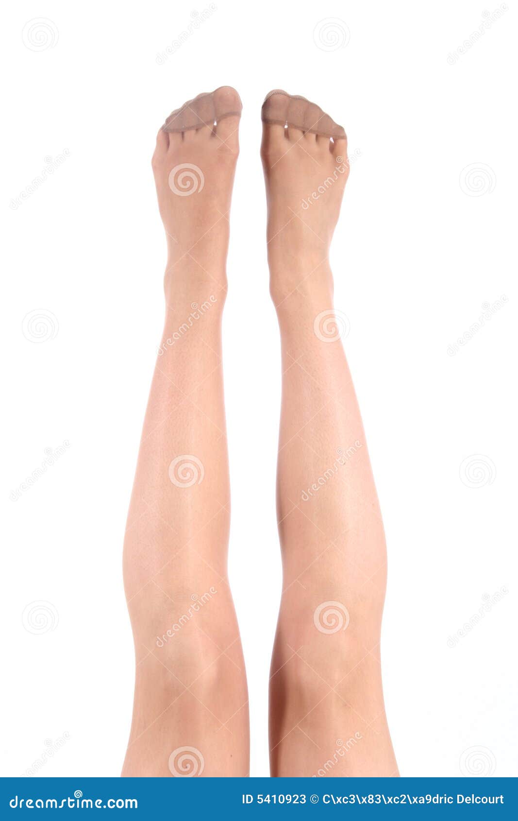 legs