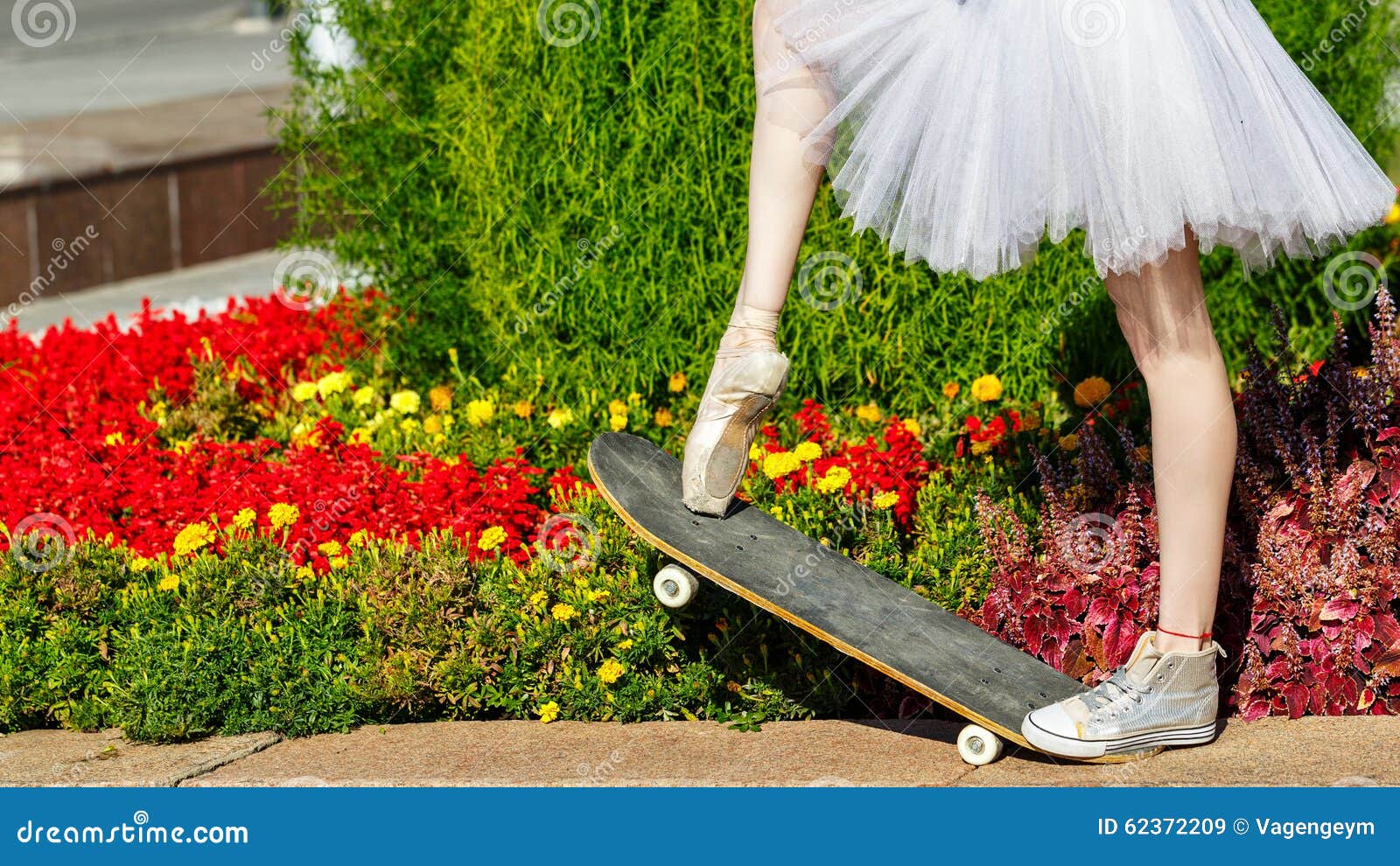 Forventning I virkeligheden øje Ballerina Skateboard Stock Photos - Free & Royalty-Free Stock Photos from  Dreamstime