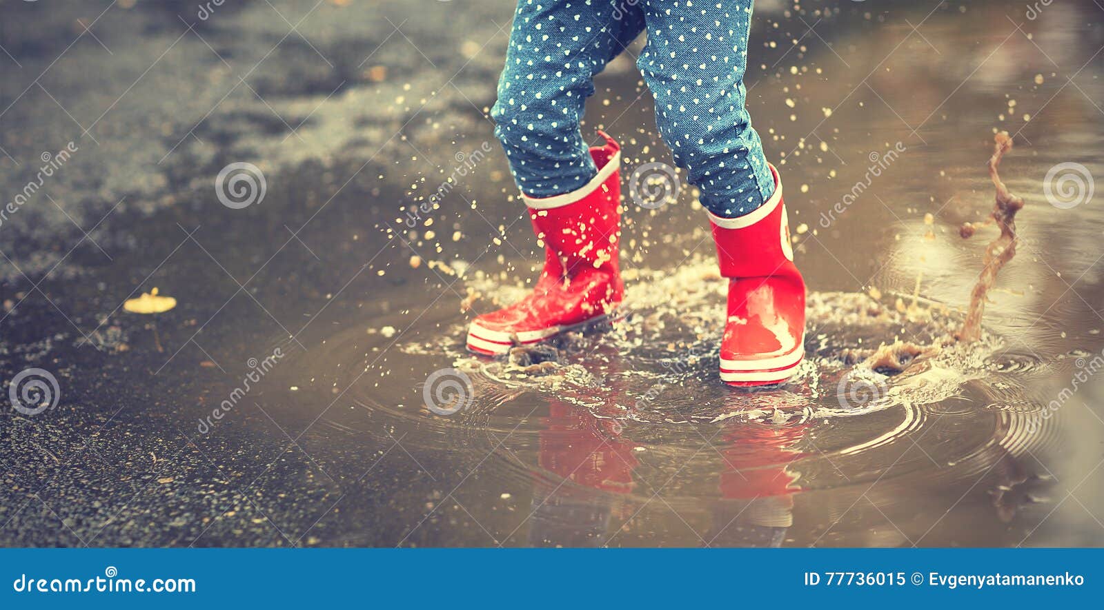 legs of child in red rubber boots jumping in autumn puddles