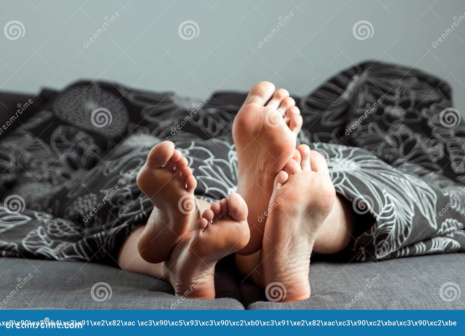 The Legs, Feet of a Couple in Love are Sticking Out from Under the Blanket picture image