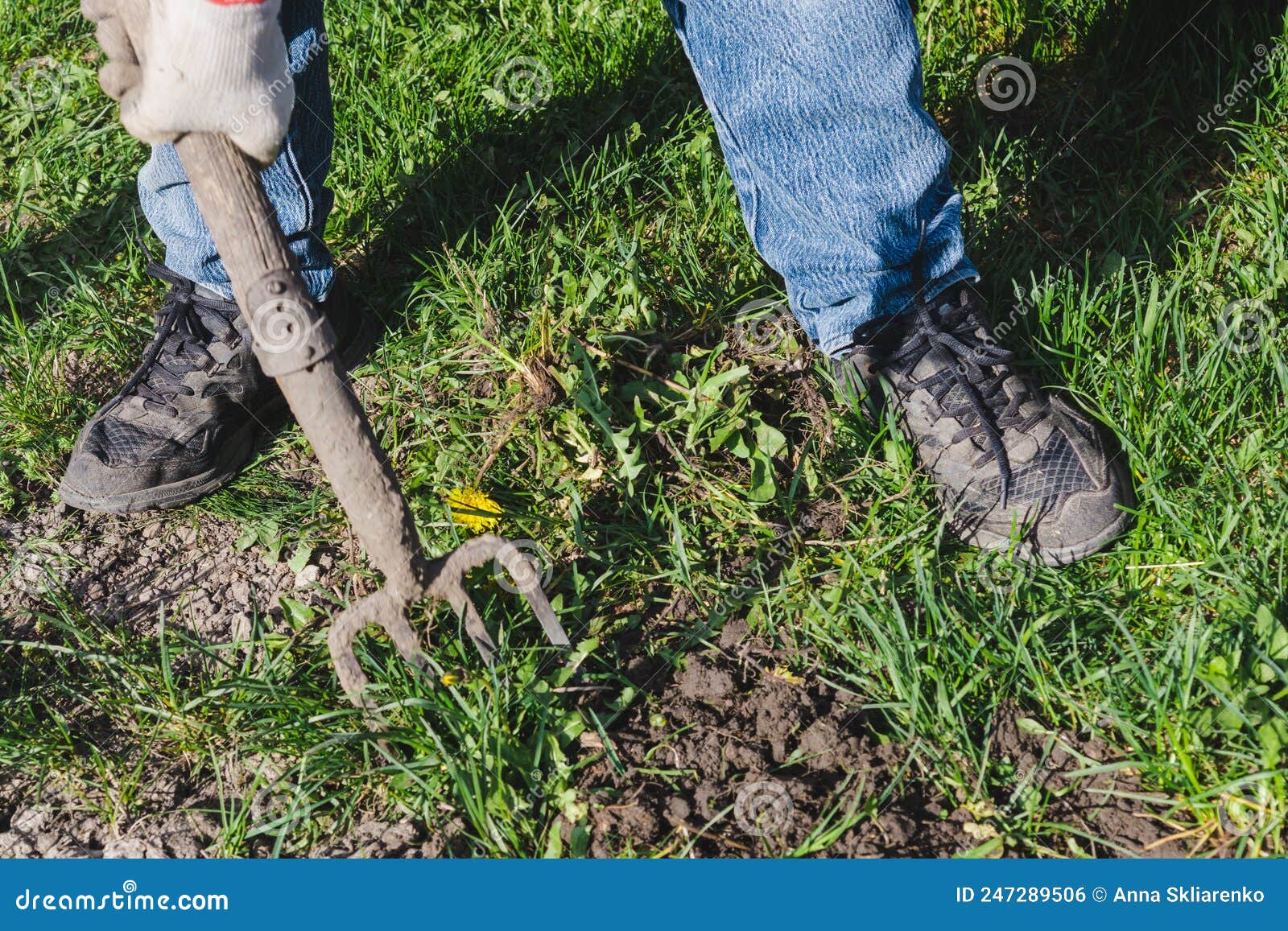 Weeding the weeds stock photo. Image of cultivate, farming - 247289506