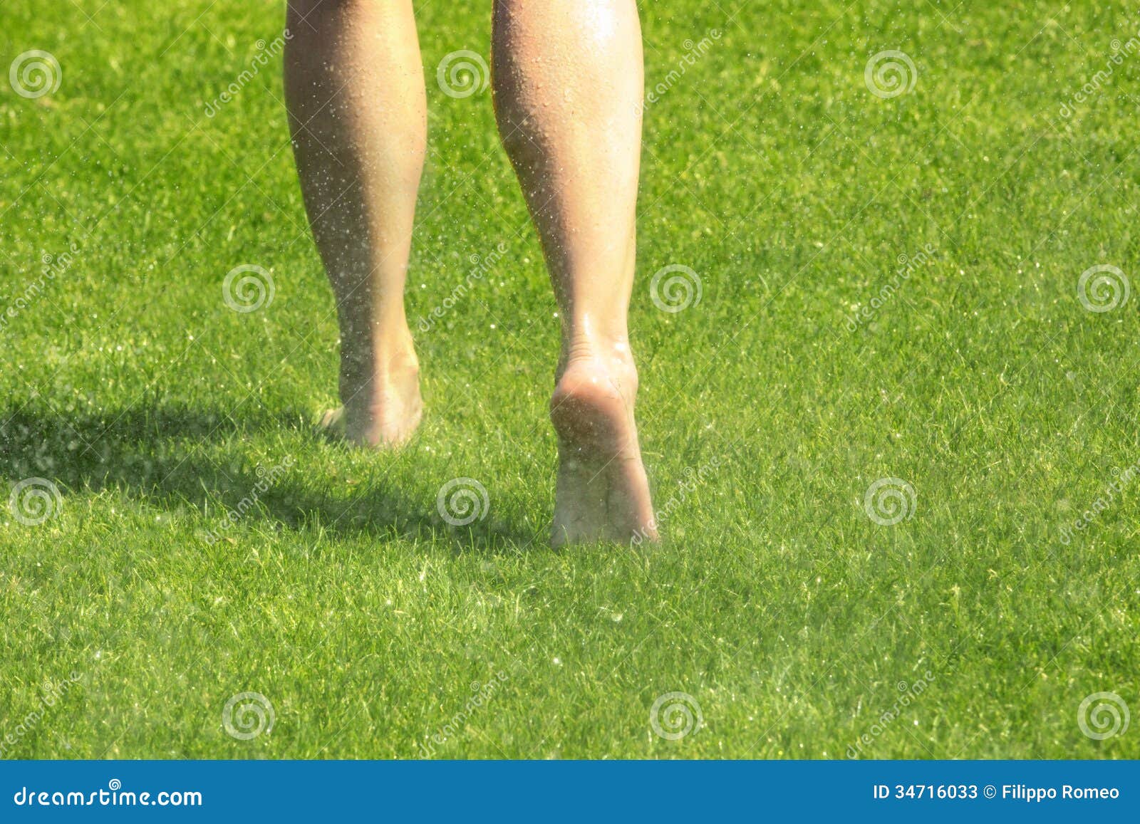 Legs On Wet Green Grass Stock Image Image Of Beauty 34716033
