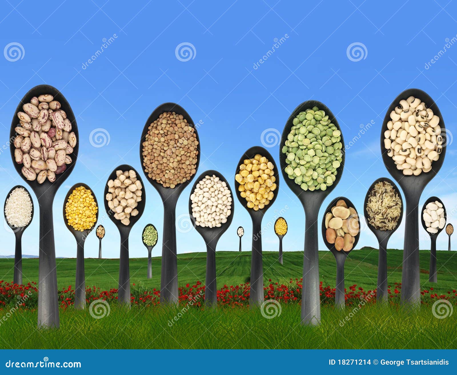 Legumes on a grass field stock photo. Image of gastronomy 18271214