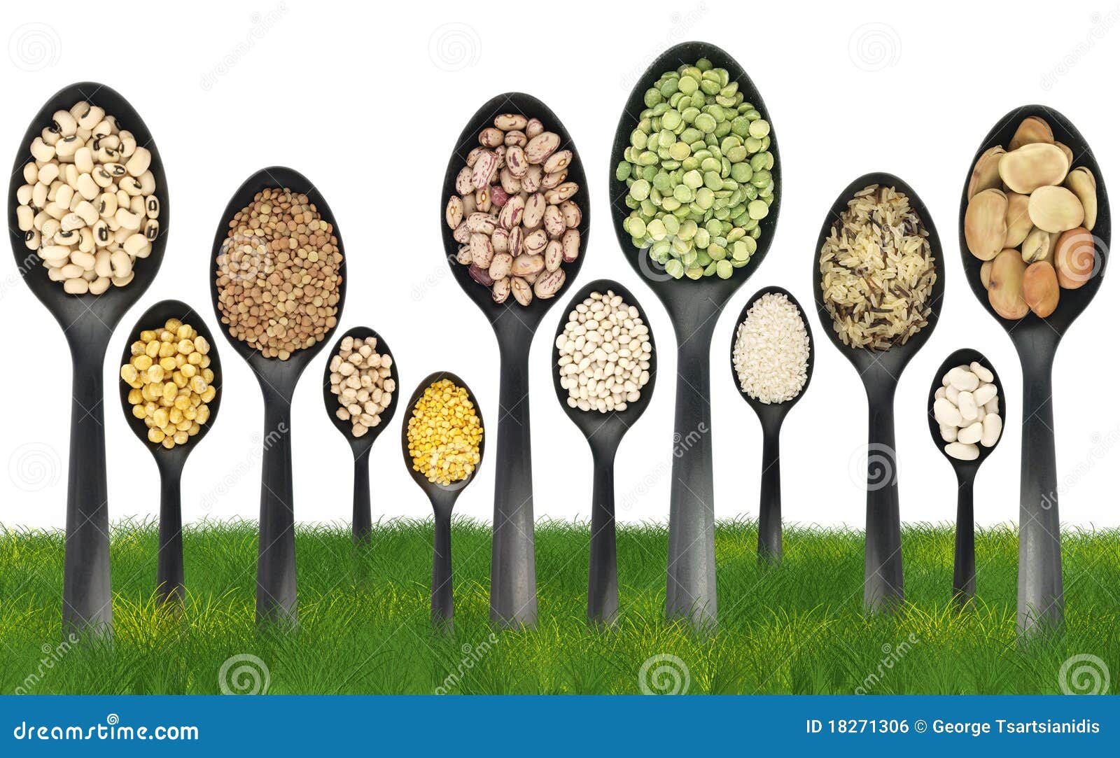 Legumes on a grass field stock photo. Image of trees 18271306