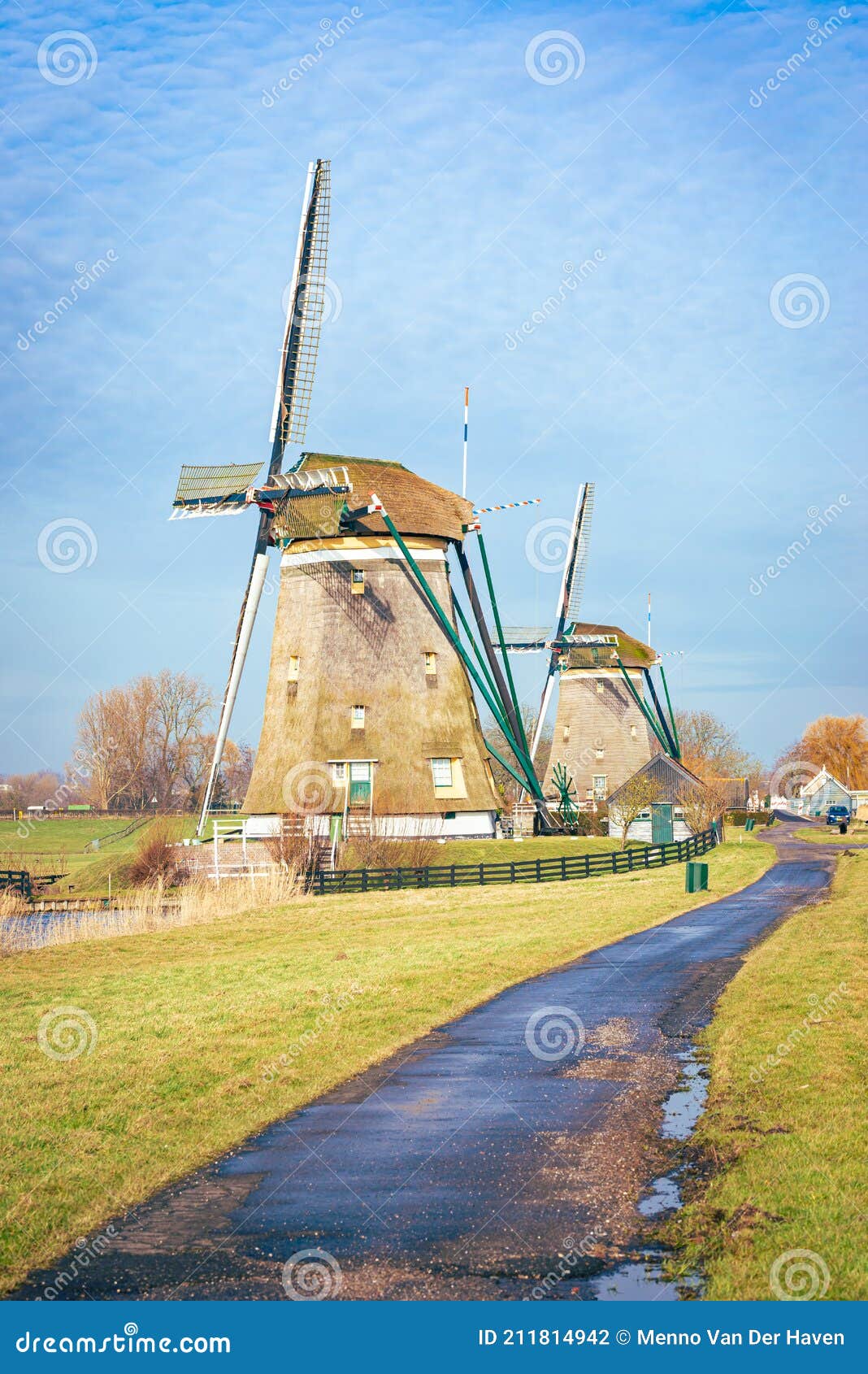 path leading to traditional dutch windmills