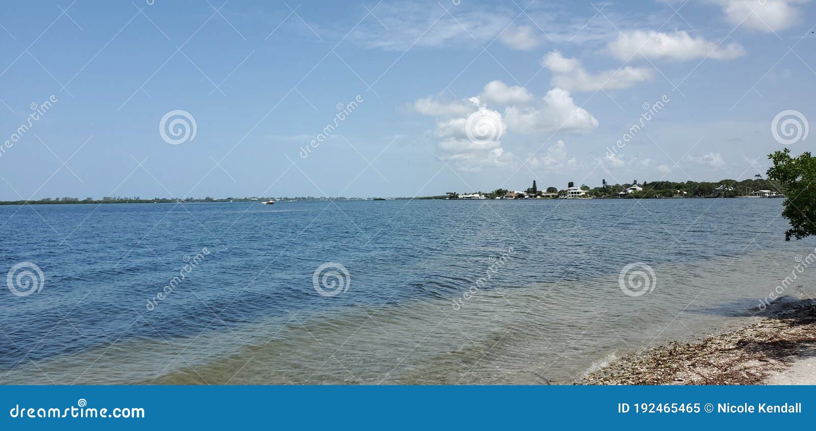 Lemon Bay in Englewood Florida Stock Image Image of wave, sand 192465465