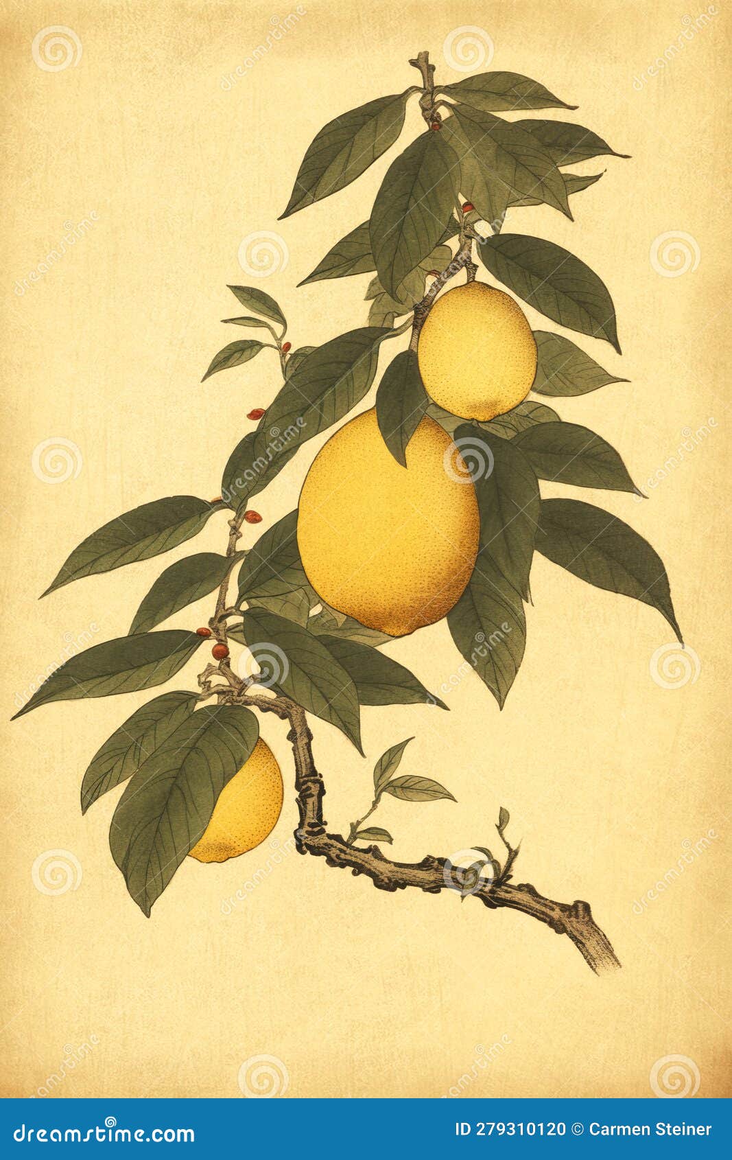 lemon branch with lemons as . ai generated