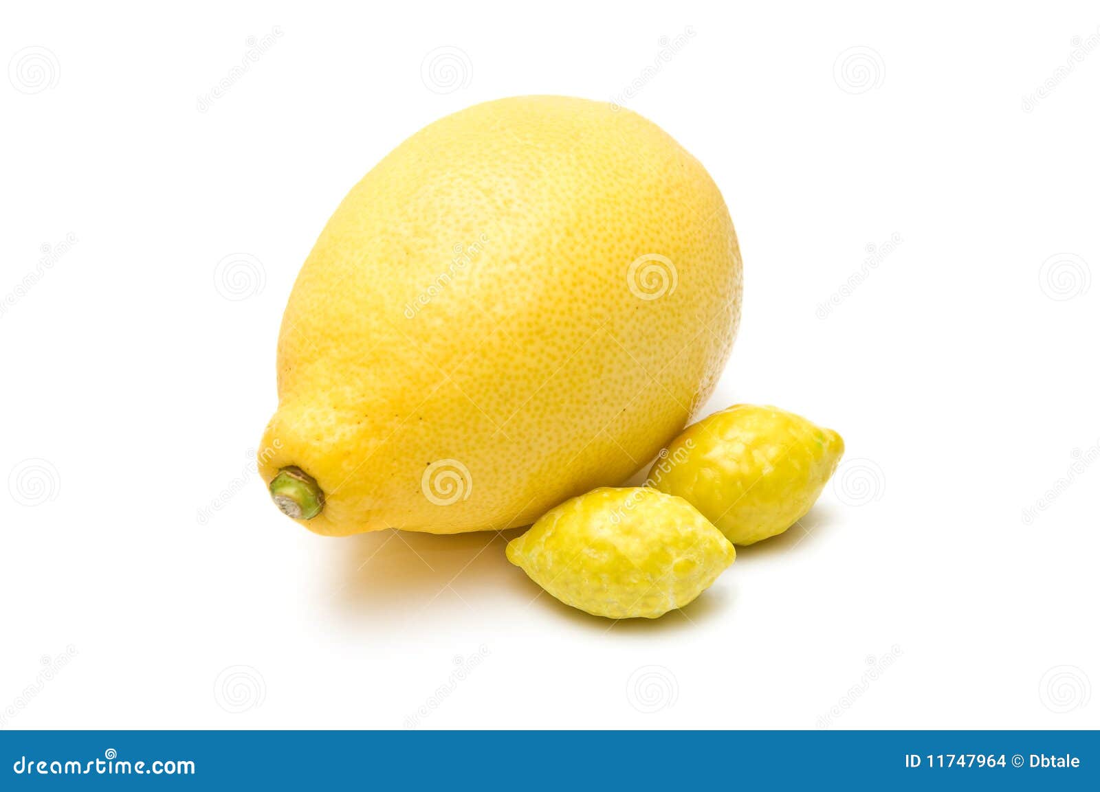 Lemon and chewing gums stock photo. Image of agriculture 11747964