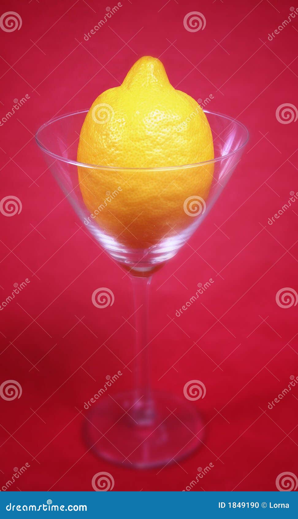 Lemon in cocktail glass stock photo. Image of closeup 1849190