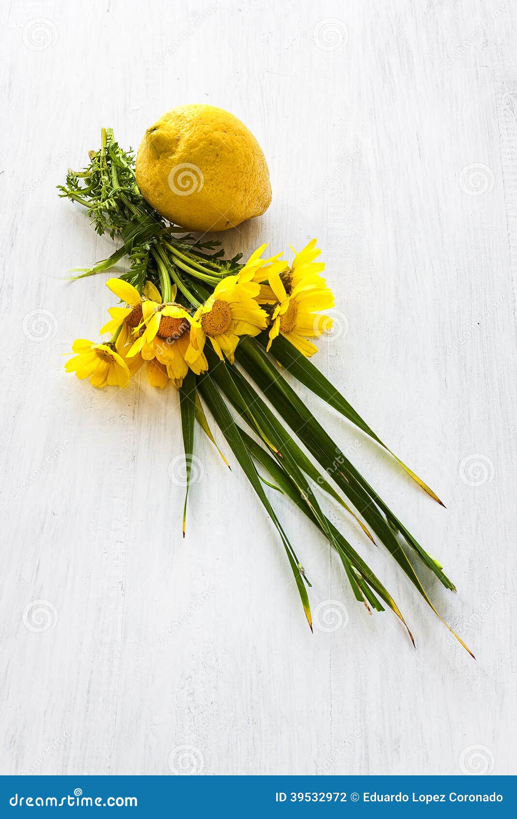 Lemon with flowers stock photo. Image of fruits, lemons 39532972