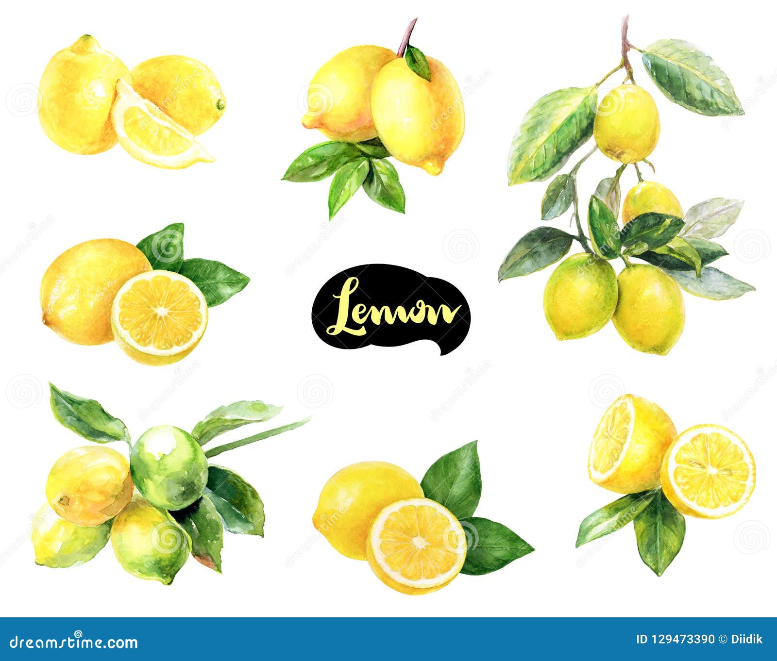 Watercolor Lemons Set Fruit Illustration Lemon Set | My XXX Hot Girl