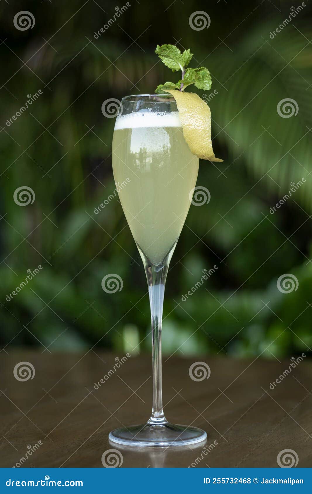 Lemon and Grapefruit Citrus Spritzer Cocktail Stock Photo Image of