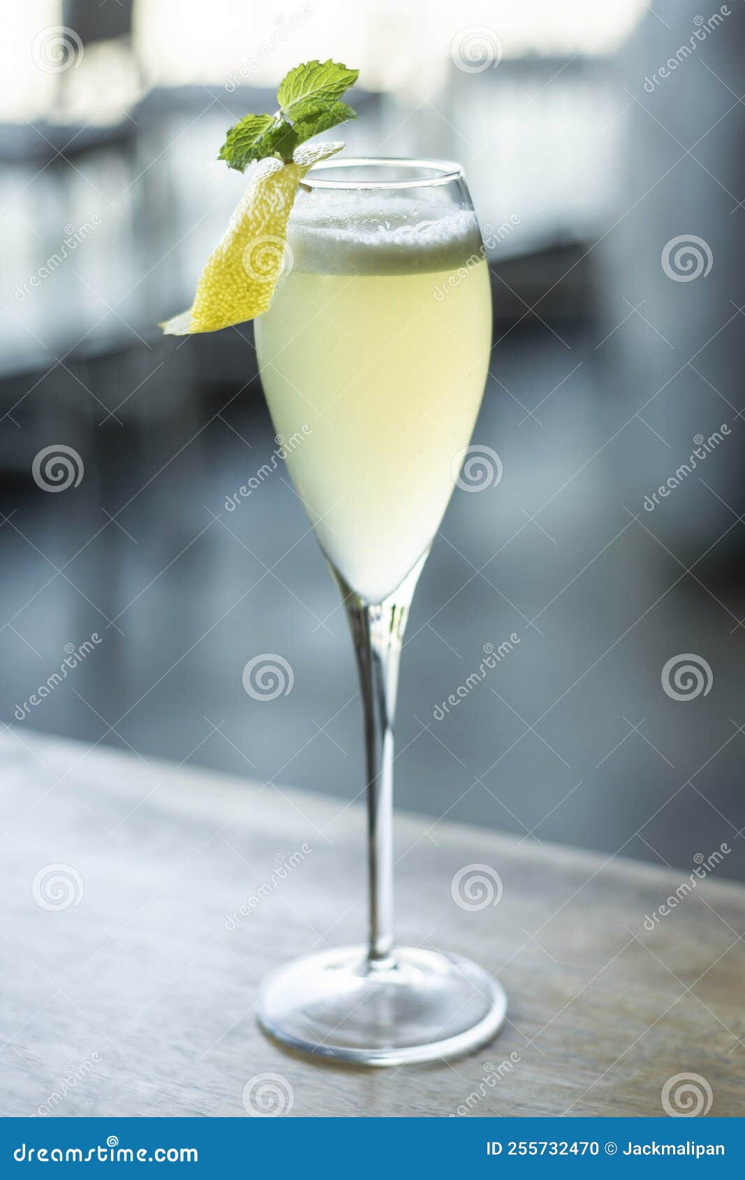 Lemon and Grapefruit with Egg White Citrus Spritzer Cocktail Stock
