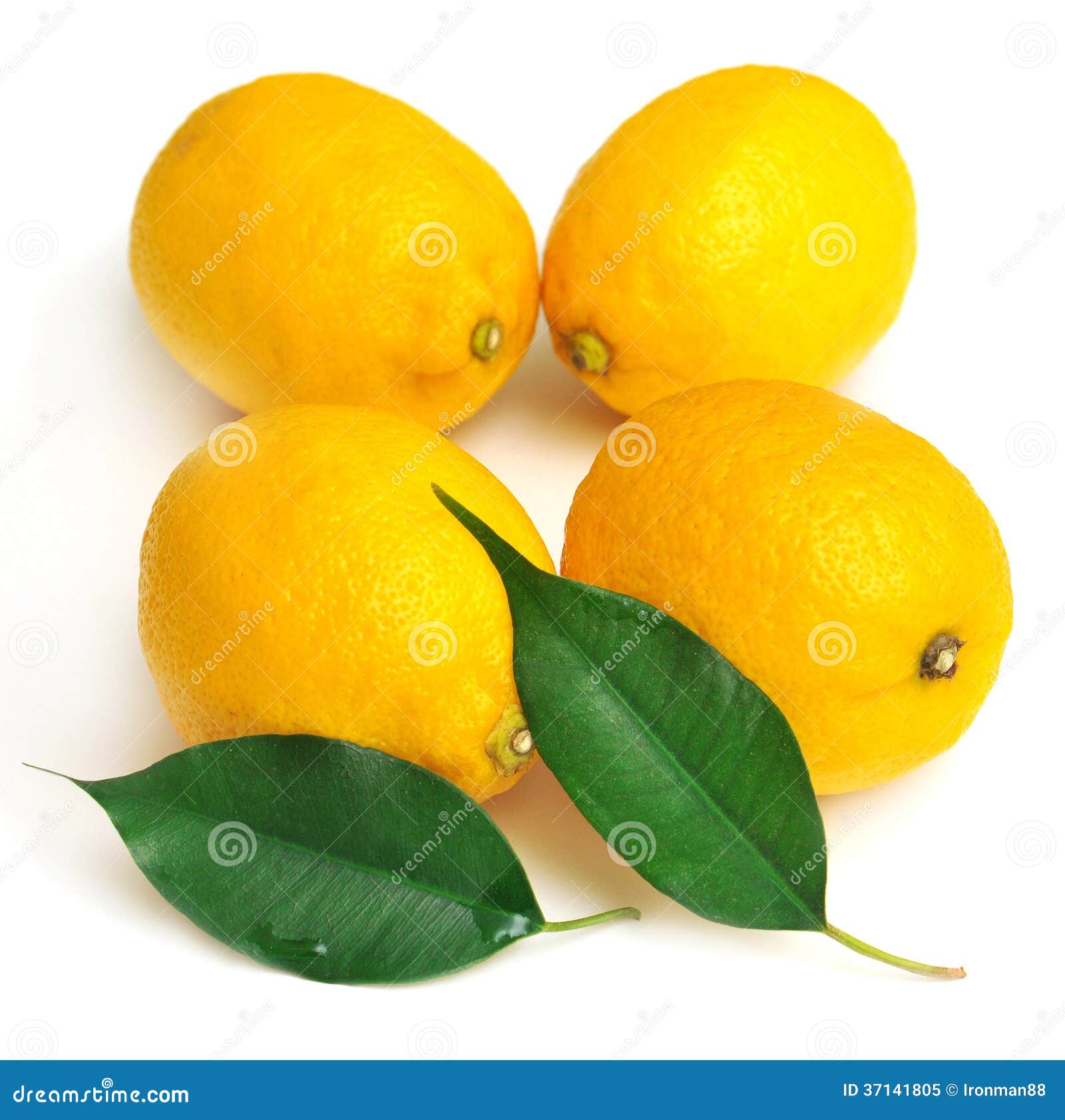 Lemon and leaf stock image. Image of drink, organic, eating 37141805