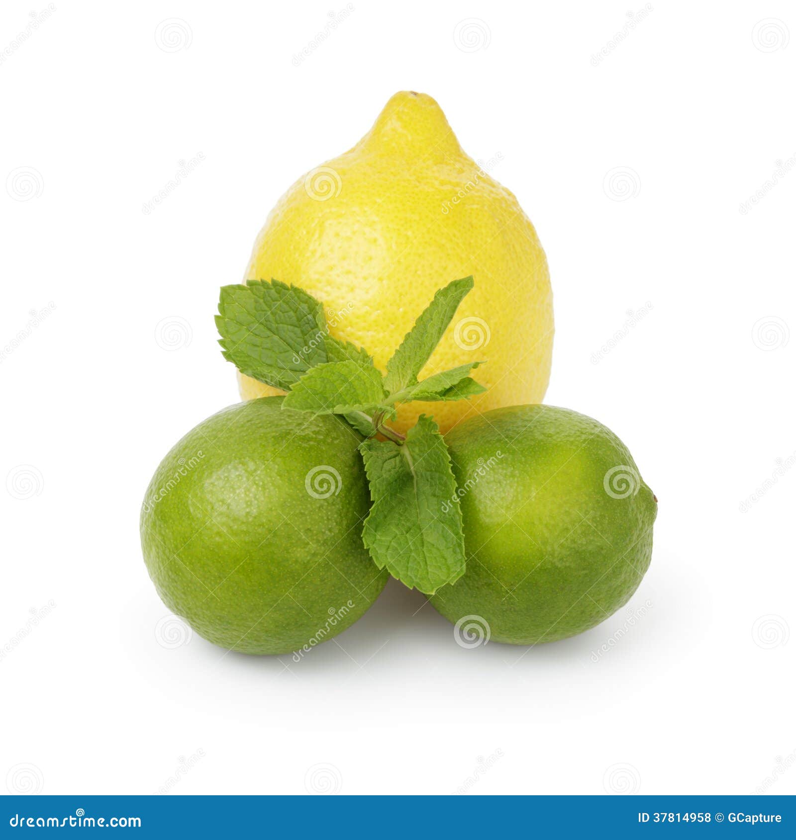 Lemon, Lime and Mint Leaves Stock Photo Image of fresh, juicy 37814958