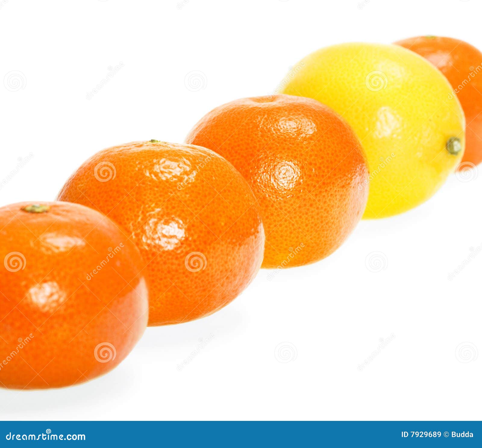 Lemon and mandarins stock image. Image of abundance, nutrient 7929689