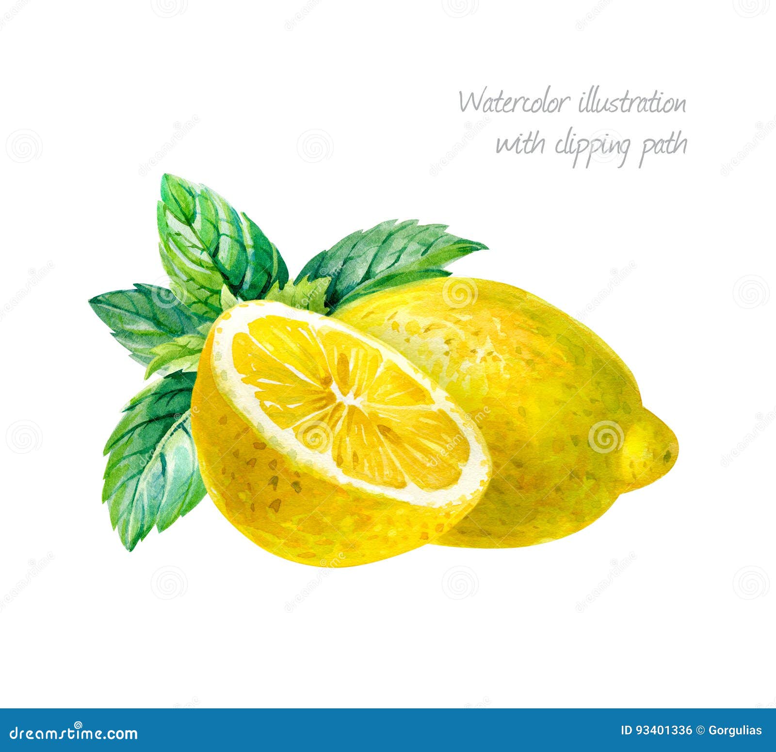 lemon with mint leaves  on white watercolor n