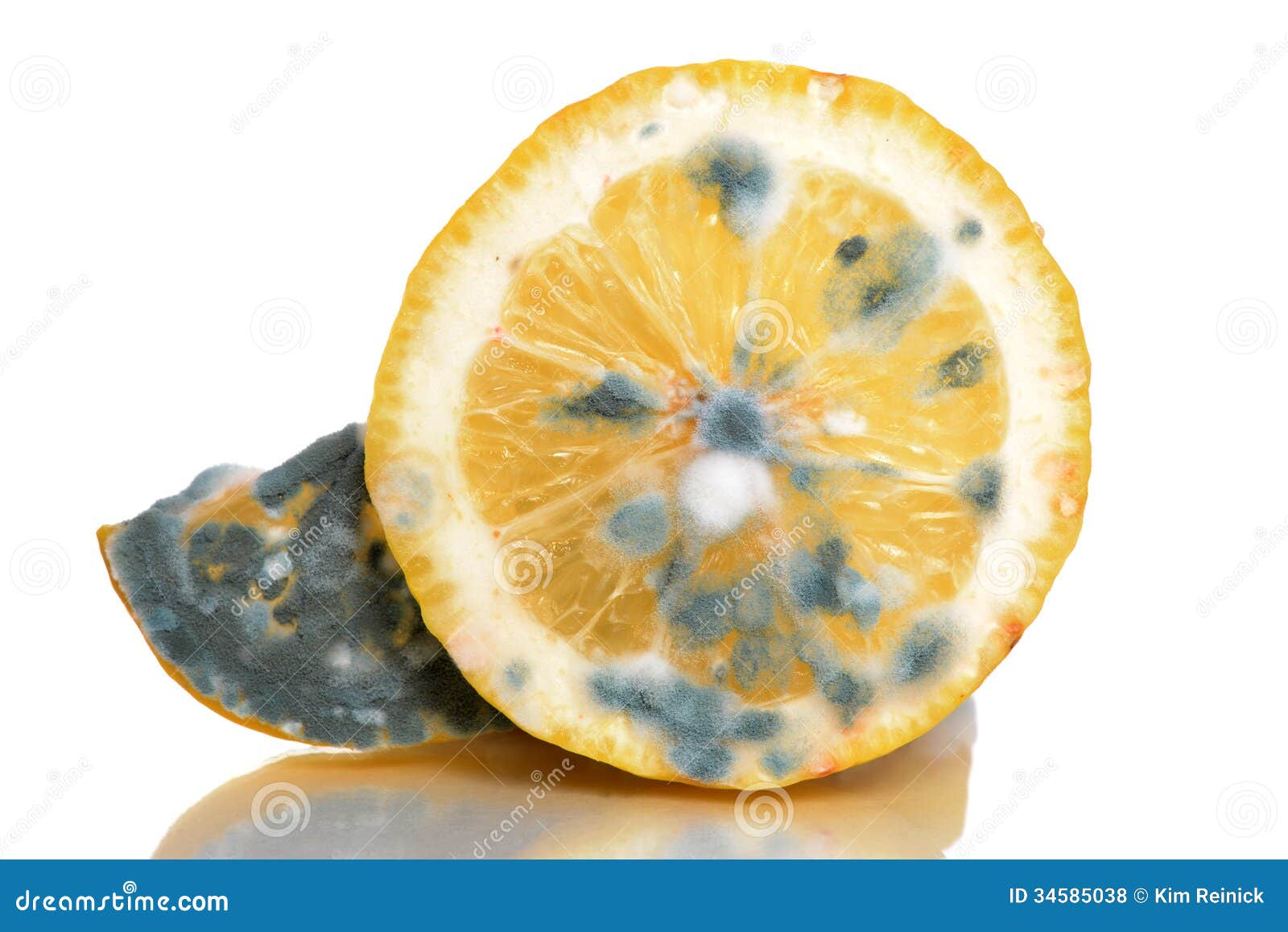 [Image: lemon-mold-sliced-isolated-white-backgro...585038.jpg]