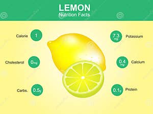 Lemon Nutrition Facts Lemon Fruit With Information Lemon Vector Stock Vector Illustration Of
