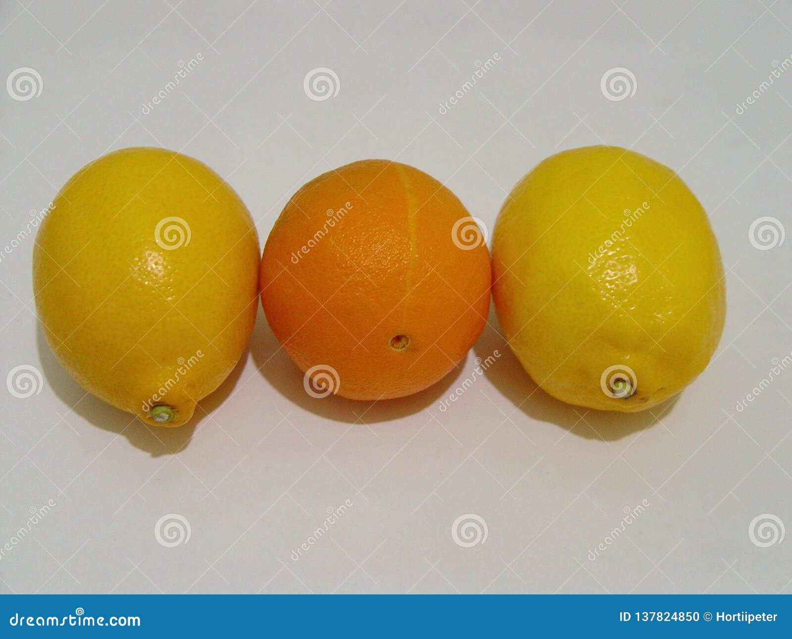 Set Of Same Size Closed Canned Food No Labels , Fish , Fruits, Vegetables, Meat, Soup Different