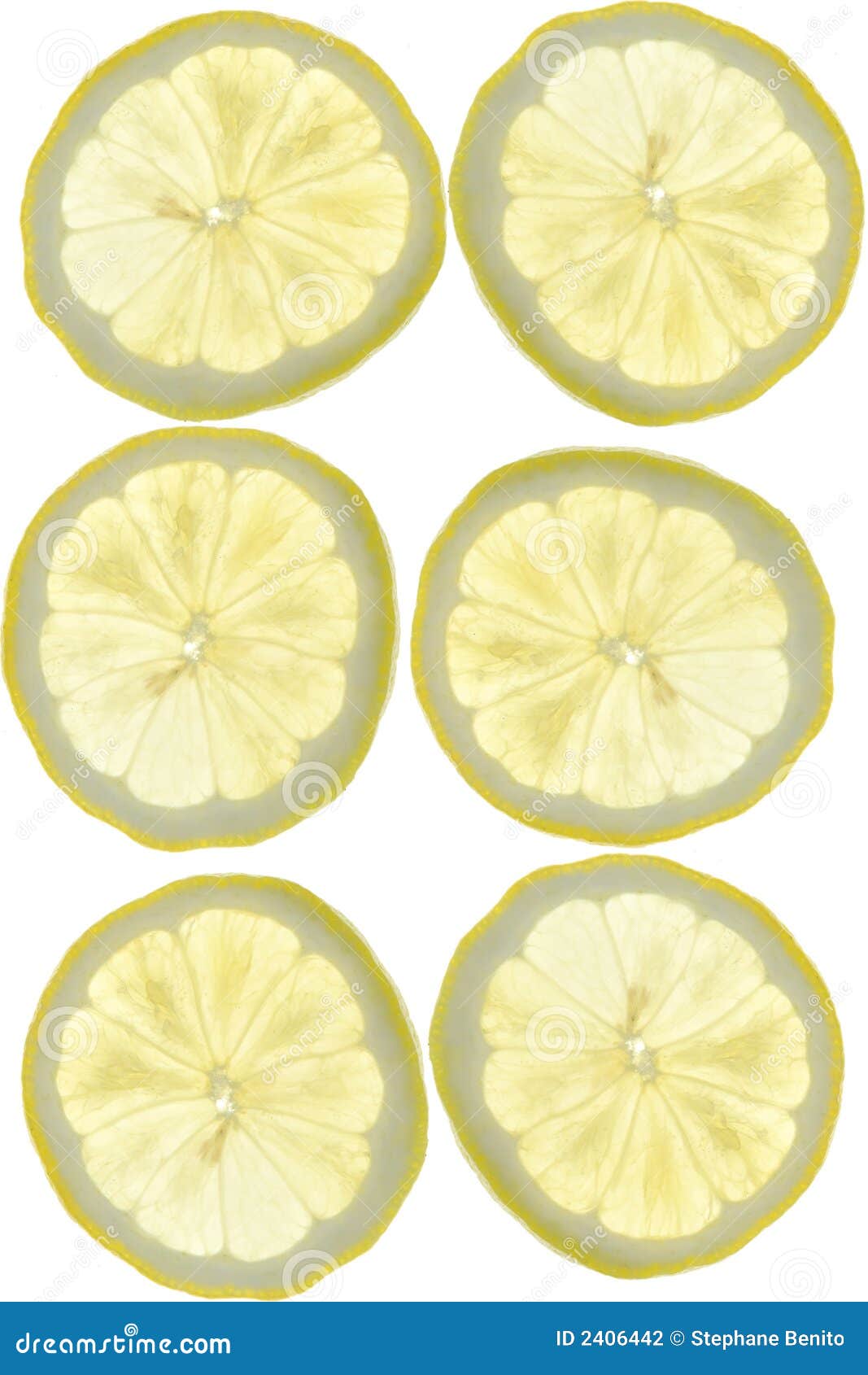 Lemon slices stock photo. Image of lemon, background, juice - 2406442