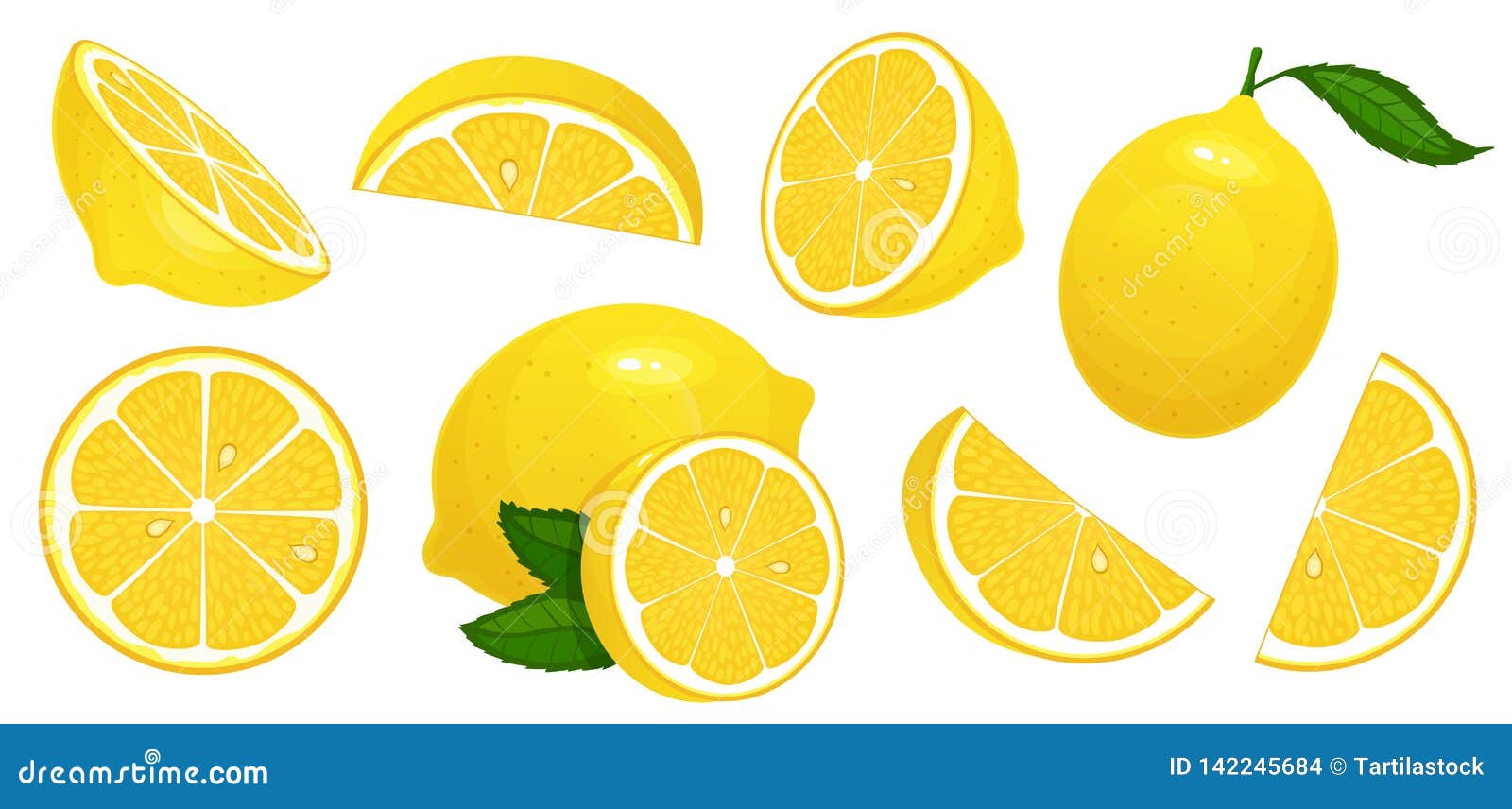 lemon slices. fresh citrus, half sliced lemons and chopped lemon  cartoon   set