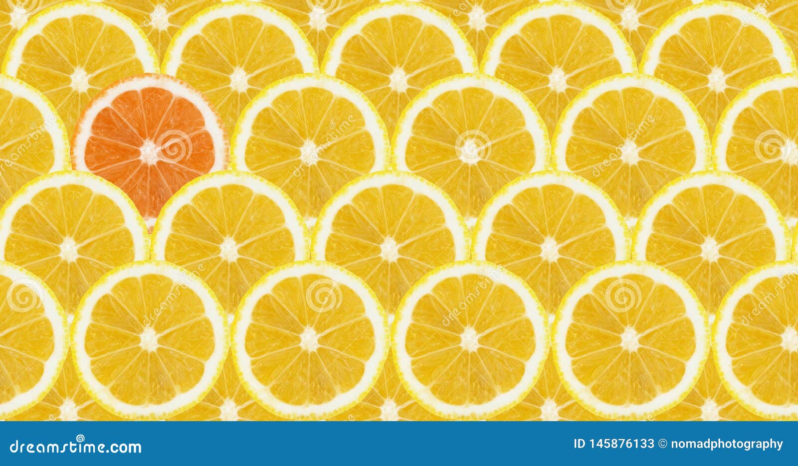 Lemon Slice Patterns One Orange Color Stock Image Image Of