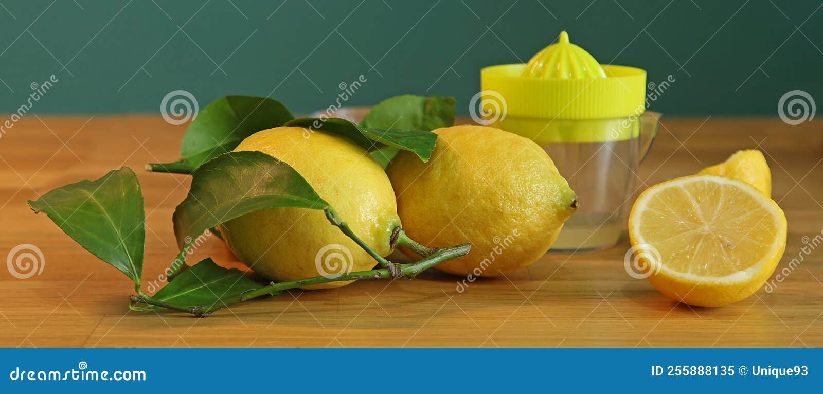 Lemon and Lemon Tree Flowers and Leaves Stock Image Image of juice