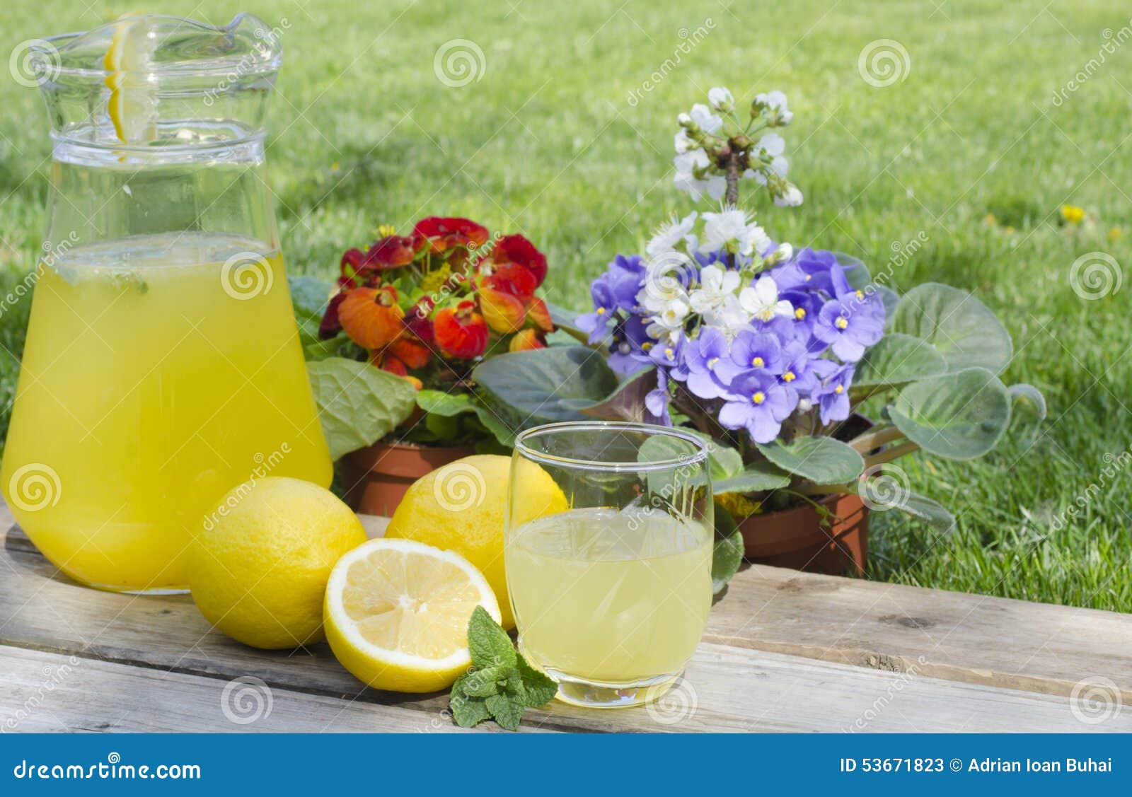 Lemonade in Glass Cup with Mint Stock Image Image of lime, juicy 53671823