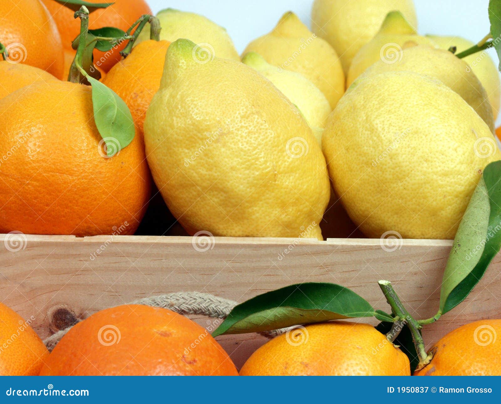 Lemons stock image. Image of fruit, vitamins, healthy 1950837