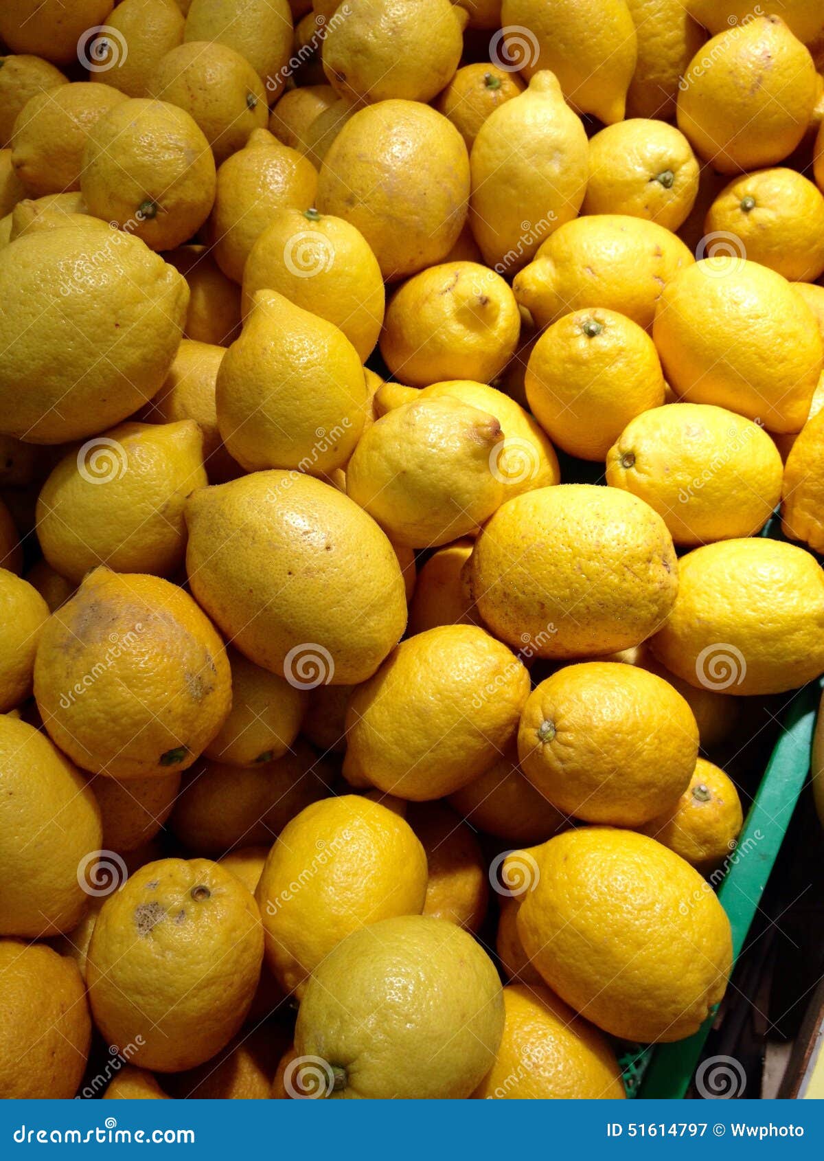 Lemons stock image. Image of color, group, nature, freshness 51614797