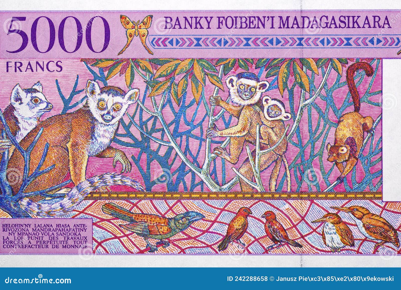 Lemurs And Birds From Malagasy Money Editorial Stock Photo Image Of lemurs-and-birds-from-malagasy-money-editorial-stock-photo-image-of