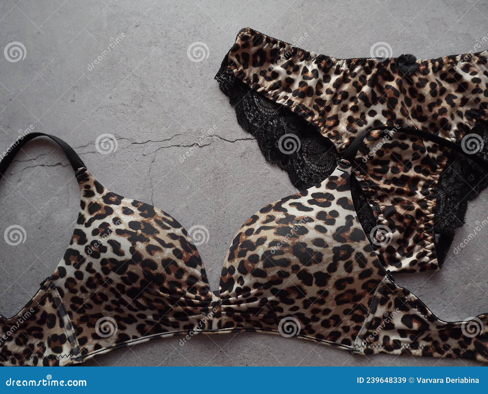 Lencería De Leopardo Ambientada Bragas Sobre Fondo Gris Imagen de archivo - Imagen amor, deseo: 239648339