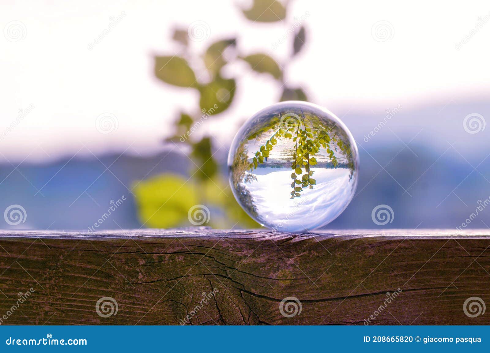 lens ball in nature