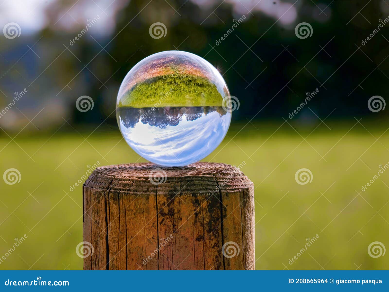 lens ball in nature