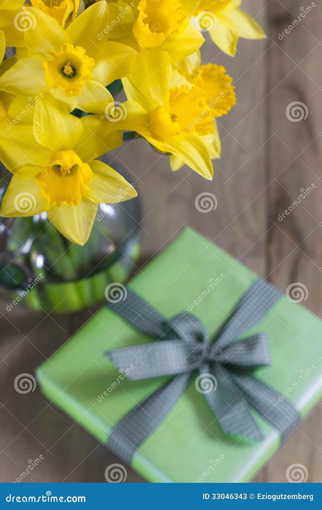 Lent lily daffodil stock image. Image of daffodil, flower 33046343