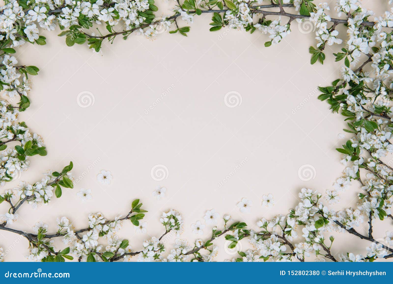 Lente natuurachtergrond met mooi bloesem in gele pastelkleur, bovenaanzicht, banner Springtime-concept