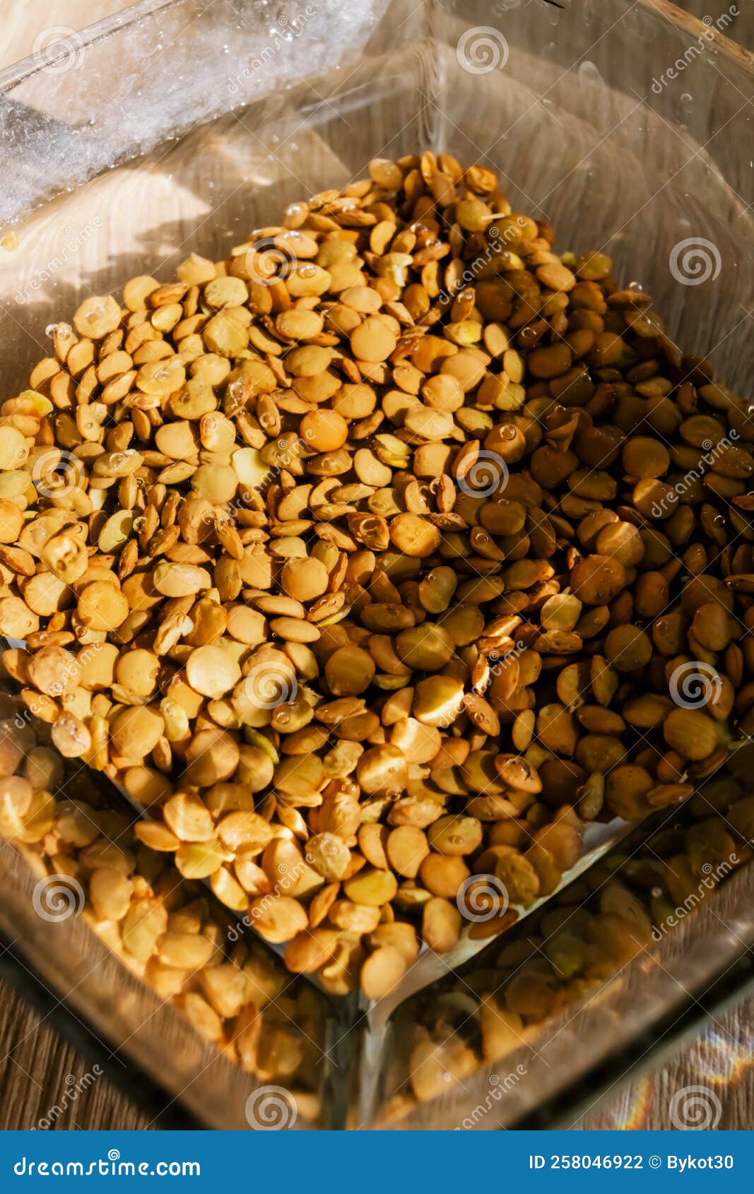Green Lentils Soaked in Water in a Bowl. Stock Photo Image of grain