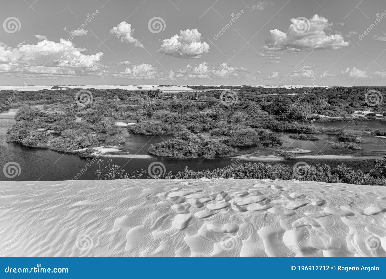 lenÃÂ§ois maranhenses, barreirinhas, maranhÃÂ£o, brazil - dunes, mangrove, forest and blue sky