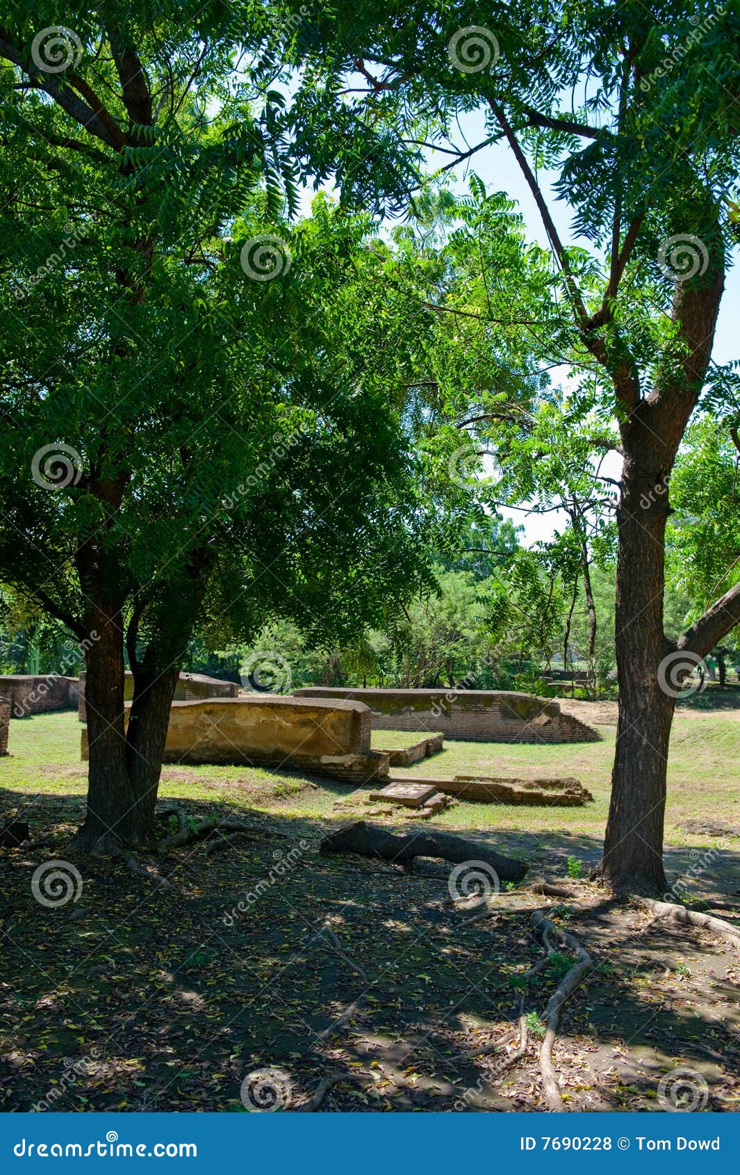 leon viejo ruins