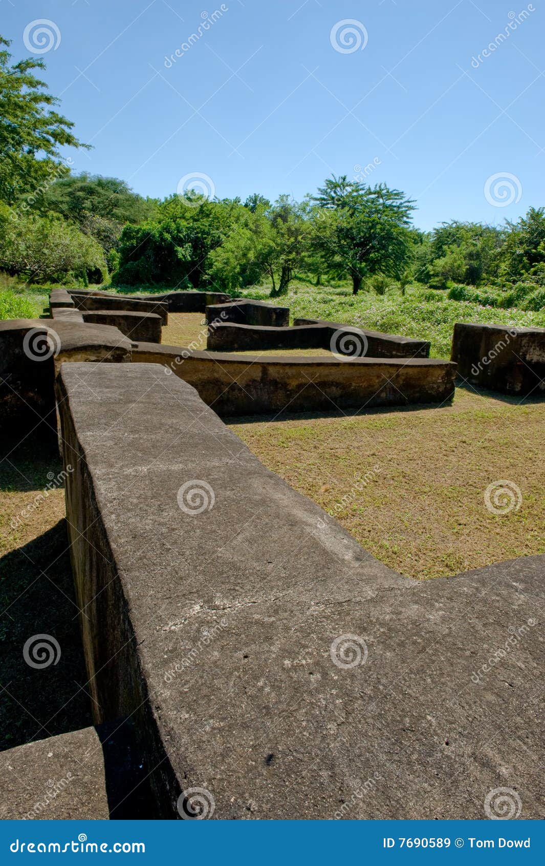 leon viejo ruins