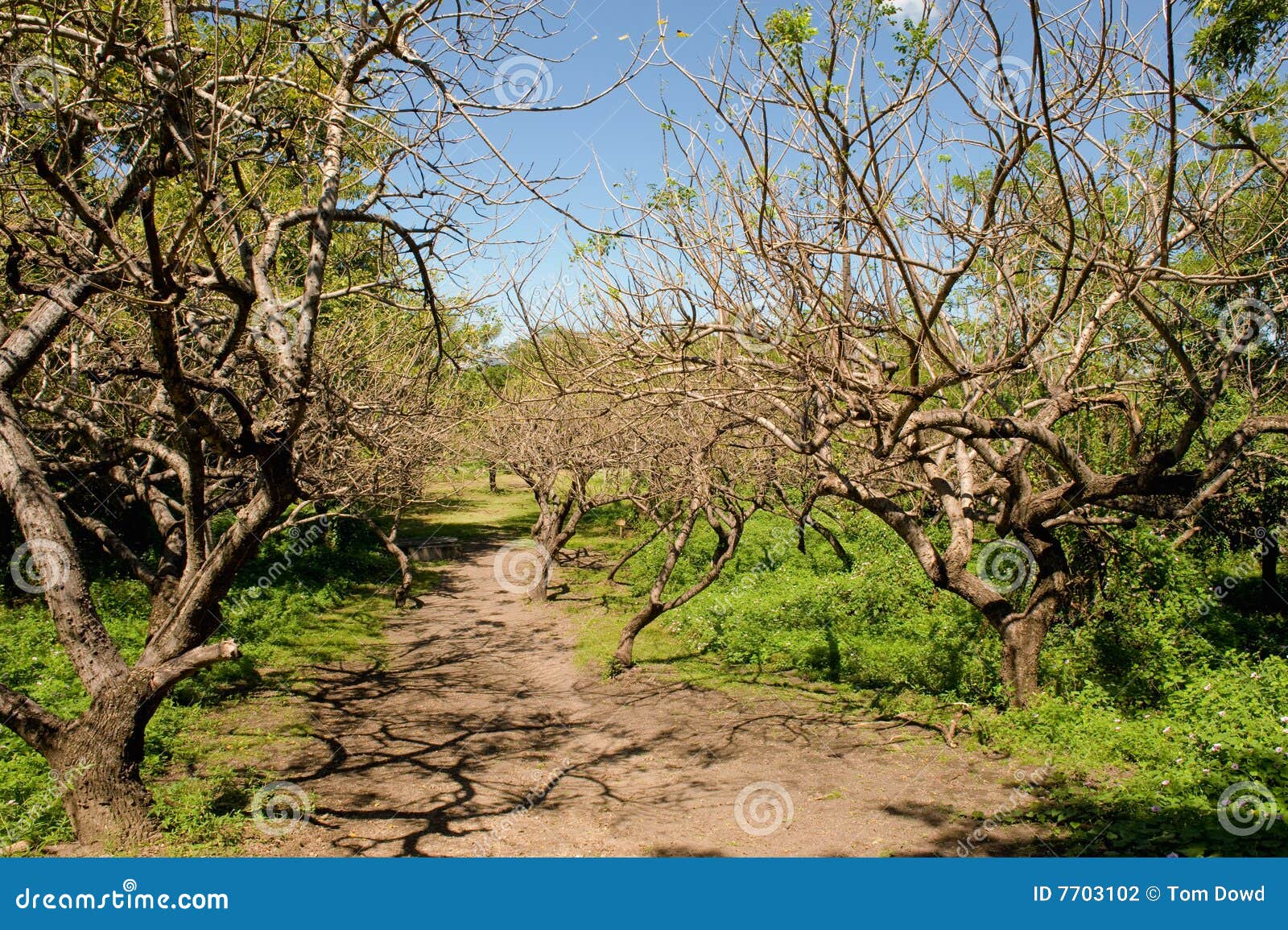 leon viejo scenic nicaragua