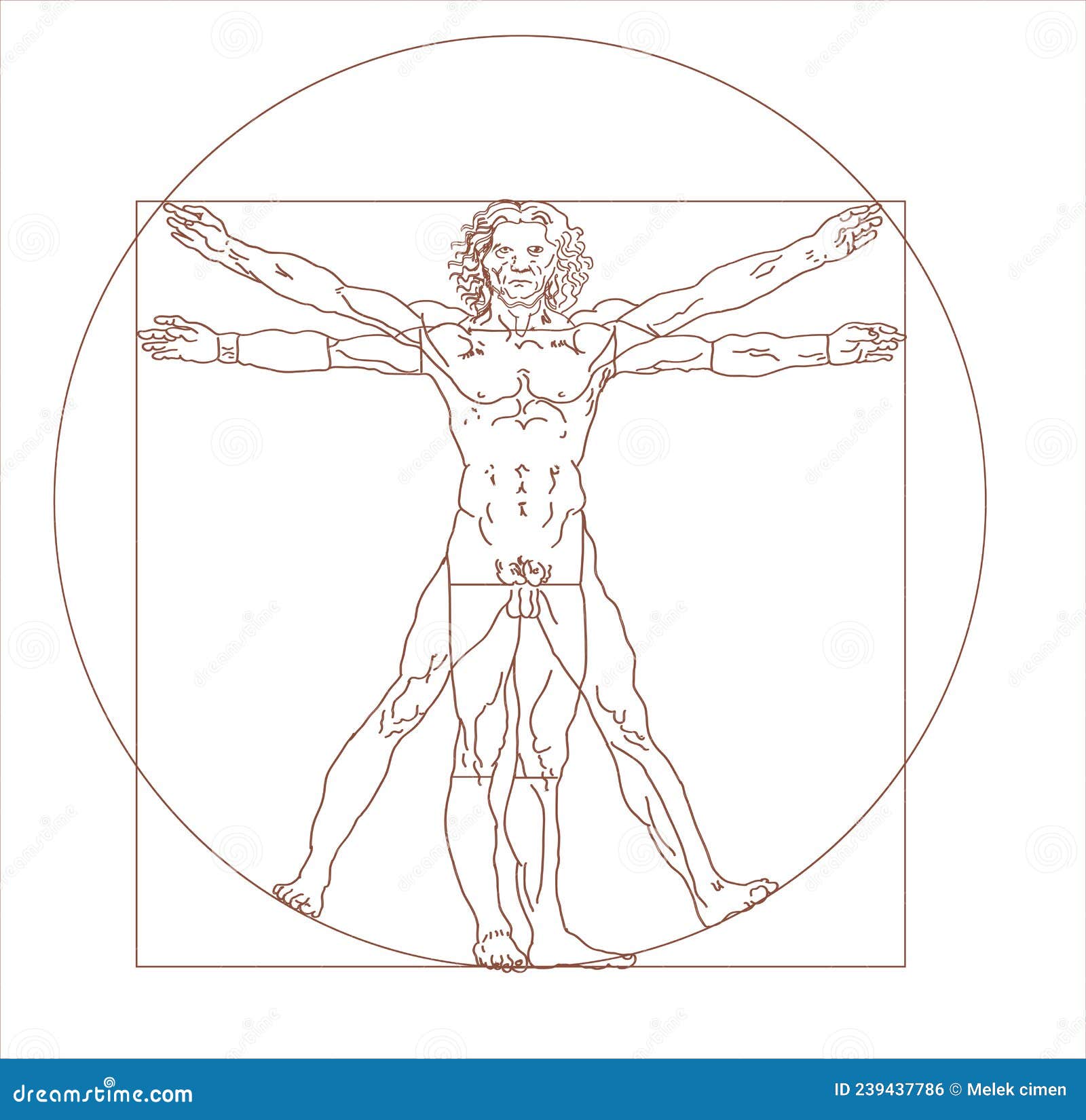 Как выглядит схема человека. Леонардо да Винчи Витрувианский человек без фона. Рисунок Леонардо да Винчи Витрувианский человек. Витрувианский человек Джакомо Андреа. Леонардо да Винчи Витрувианский человек PNG.