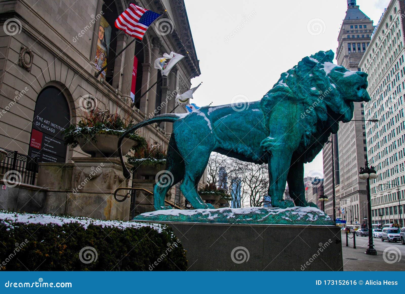 Leones De Bronce Fuera Del Instituto De Arte De Chicago En Invierno Foto  editorial - Imagen de azul, majestuoso: 173152616