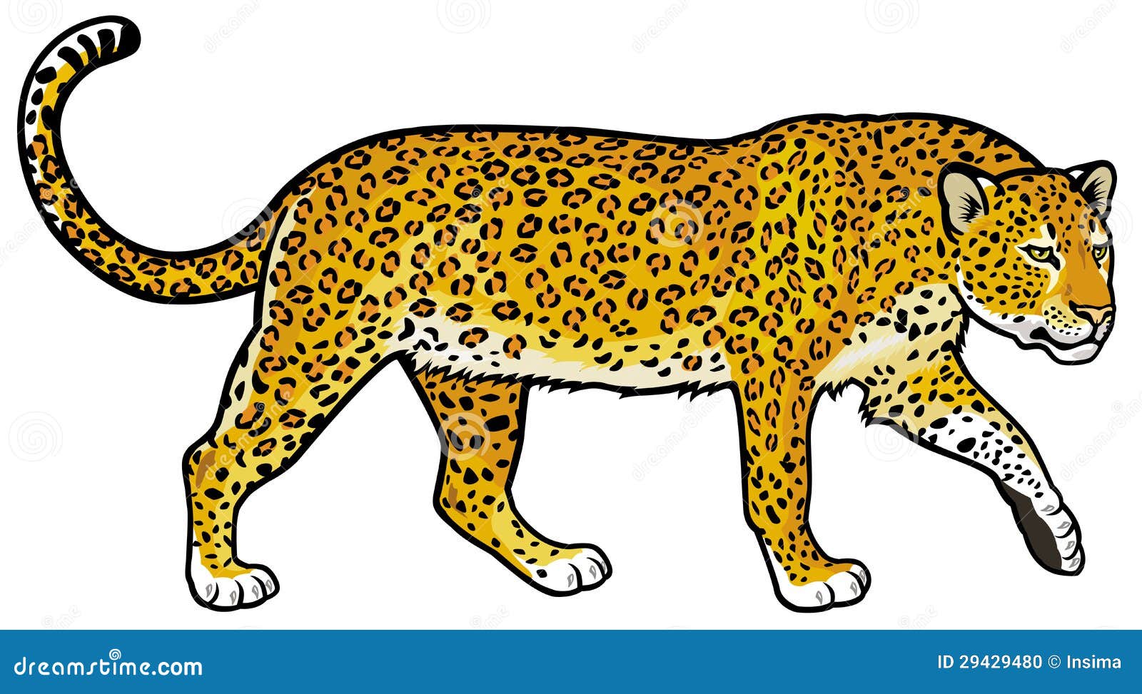 leopard